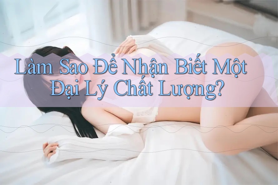 Làm Sao Để Nhận Biết Một Đại Lý Chất Lượng?