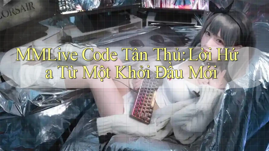 MMLive Code Tân Thủ: Lời Hứa Từ Một Khởi Đầu Mới