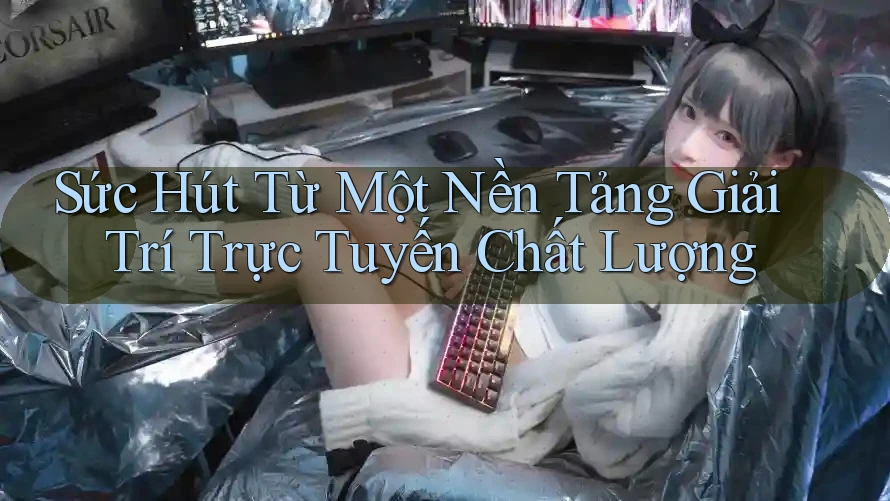 Sức Hút Từ Một Nền Tảng Giải Trí Trực Tuyến Chất Lượng