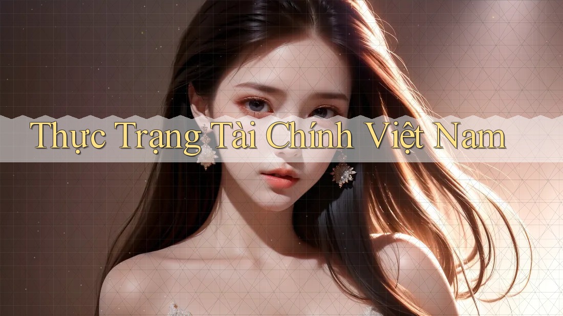 Thực Trạng Tài Chính Việt Nam