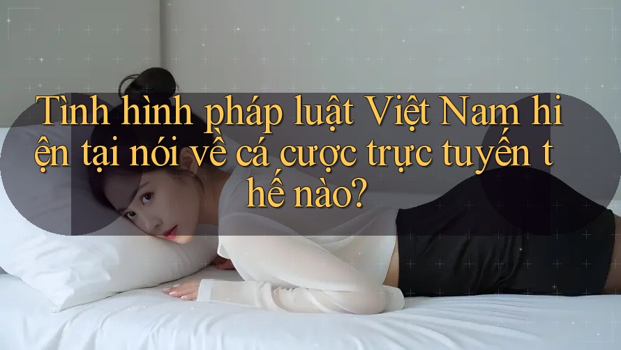 Tình hình pháp luật Việt Nam hiện tại nói về cá cược trực tuyến thế nào?