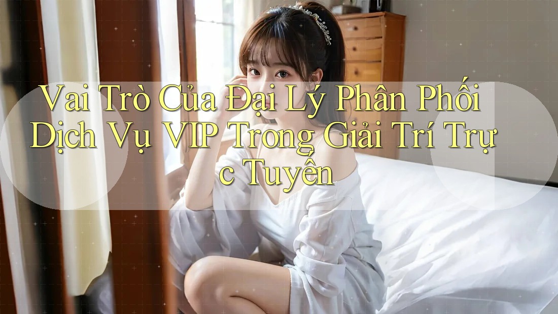 Vai Trò Của Đại Lý Phân Phối Dịch Vụ VIP Trong Giải Trí Trực Tuyến